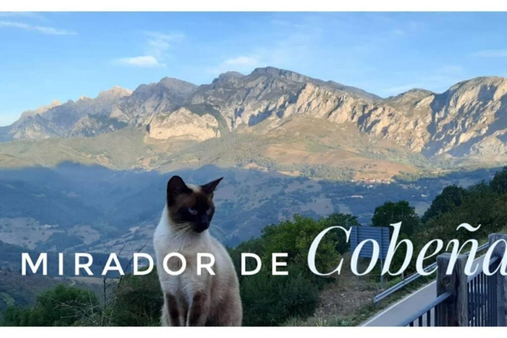 El Mirador De Cobena Ii. Aires De Liebana En Picos Apartamento Exterior foto