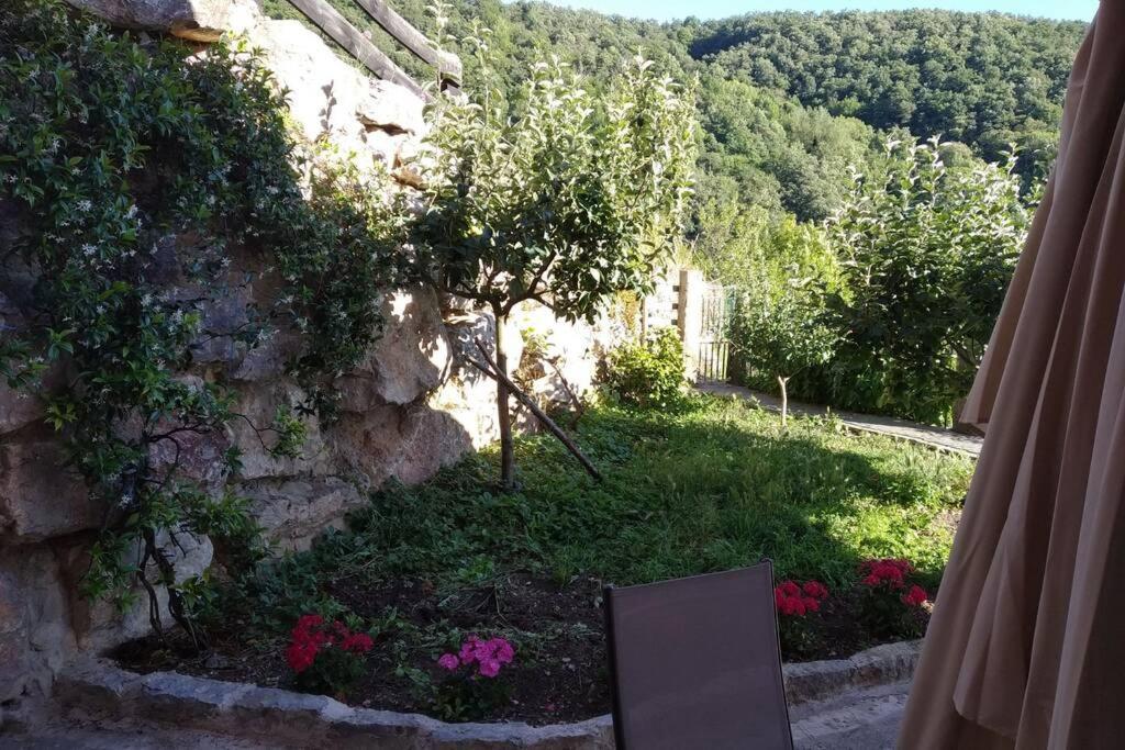 El Mirador De Cobena Ii. Aires De Liebana En Picos Apartamento Exterior foto